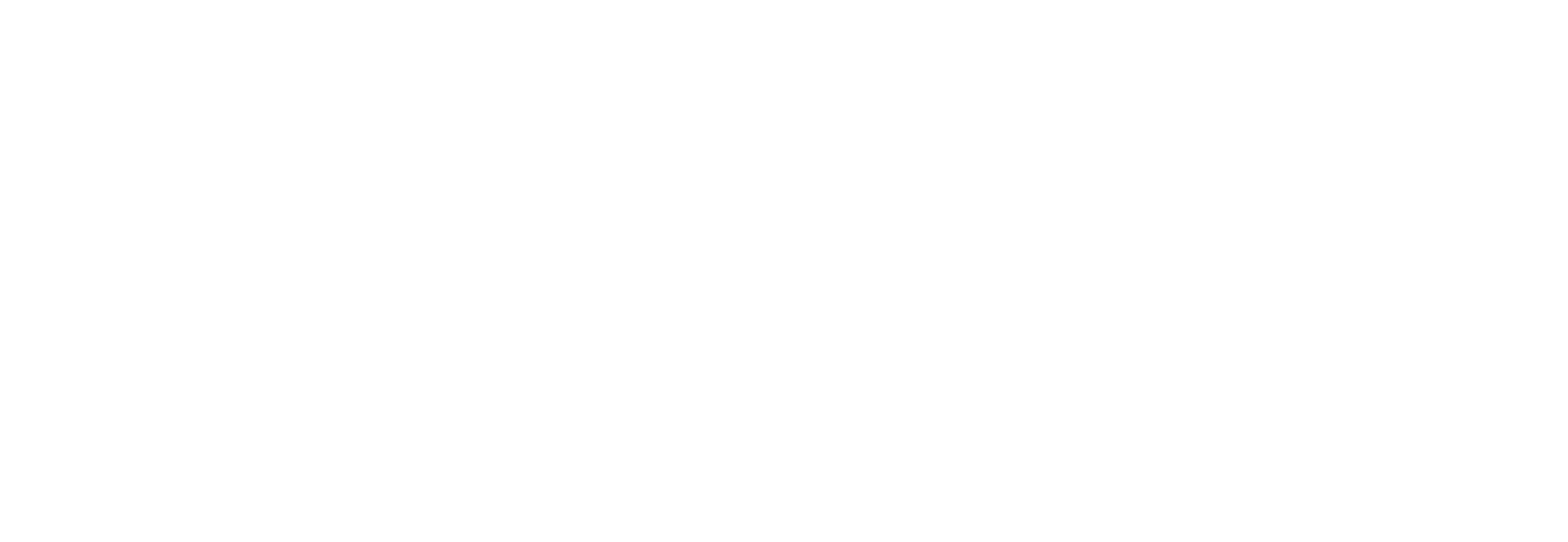 roam consulting